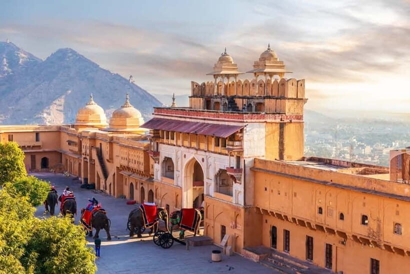 From Delhi: Private Full-Day Jaipur Highlights Tour - Amber Fort Skip-the-Line: Palaces, Frescoed Halls, and Regal Photos