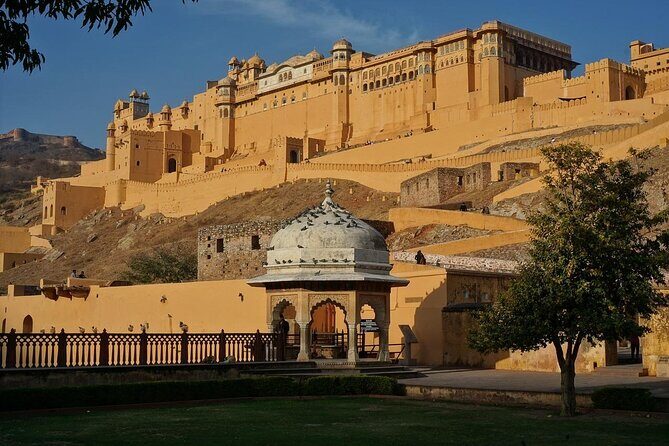 From Delhi: Same Day Amer Fort & Jaipur Tour By Car - Lunch and Tickets: How to Avoid a Midday Schedule Crash