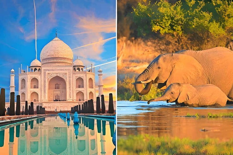From Delhi: Sunrise Taj Mahal and Elephant Conservation Tour - Why Sunrise Taj Mahal From Delhi Works So Well