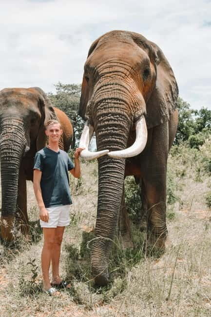 From Delhi: Sunrise Taj Mahal & visit Elephant Conservation - Key highlights to know before you go
