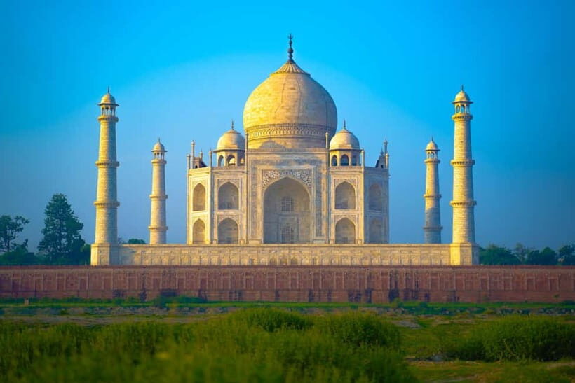 From Delhi: Sunrise Taj Mahal & visit Elephant Conservation - Wildlife SOS Elephant Conservation: what ethical elephant encounters should look like