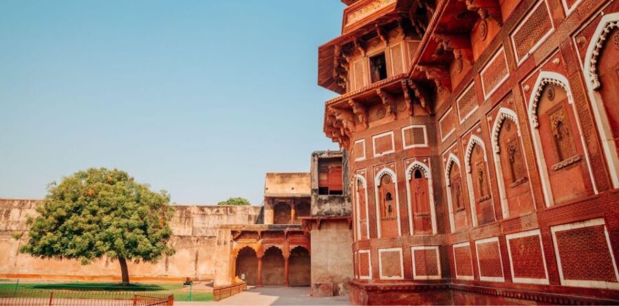 From Delhi: Taj Mahal & Agra Full Sameday Tour All Inclusive - Value for money: is this tour worth the $8 price?