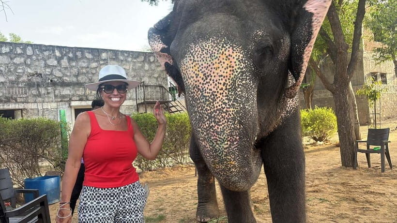 From Delhi: Taj Mahal Sunrise and Elephant Conservation Tour - Why Taj Mahal Sunrise Beats a Normal Morning Visit
