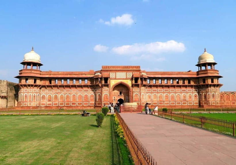 From Delhi: Taj Mahal Sunrise and Elephant Conservation Tour - Wildlife SOS Elephant Conservation and Care: What You Actually Do
