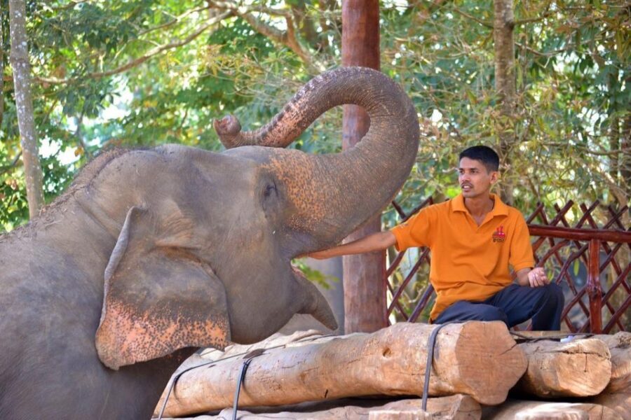 From Delhi: Taj Mahal Sunrise and Elephant Wildlife SOS Tour - Breakfast and lunch choices: how to avoid hunger drama