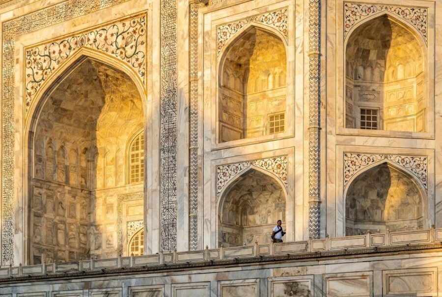 From Delhi: Taj Mahal Sunrise and Elephant Wildlife SOS Tour - Should you book this Taj Mahal sunrise + elephants tour?
