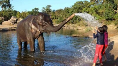 From Delhi: Taj Mahal Sunrise Tour w/ Elephant Conservation - Taj Mahal sunrise with a real guide—and no queue stress