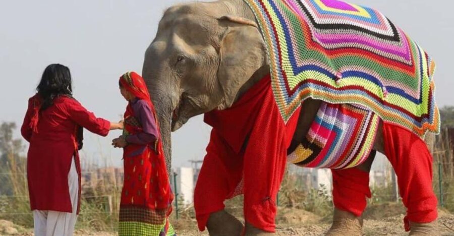 From Delhi: Taj Mahal with Photographer & Elephant SOS Tour - How the 10-Hour Pace Works From Delhi (and Why Start Time Matters)