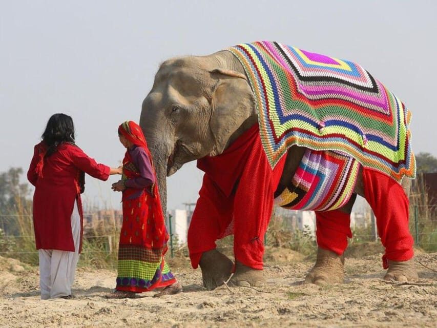 From Delhi: Taj Mahal with Photographer & Elephant SOS Tour - Agra Fort: Akbar’s Red-Sandstone Fort and the Mix of Styles