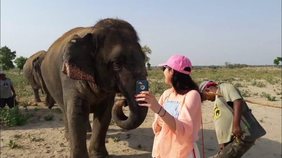 From Delhi: Taj Mahal with Photographer & Elephant SOS Tour - Wildlife SOS Elephant Hospital: What Two Hours of Elephant Care Really Means