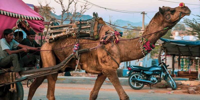 From Jaipur : Ajmer Pushkar Private Tour by Cab with Guide - Ganesha Textiles: Shopping Without Turning the Day Into Chaos