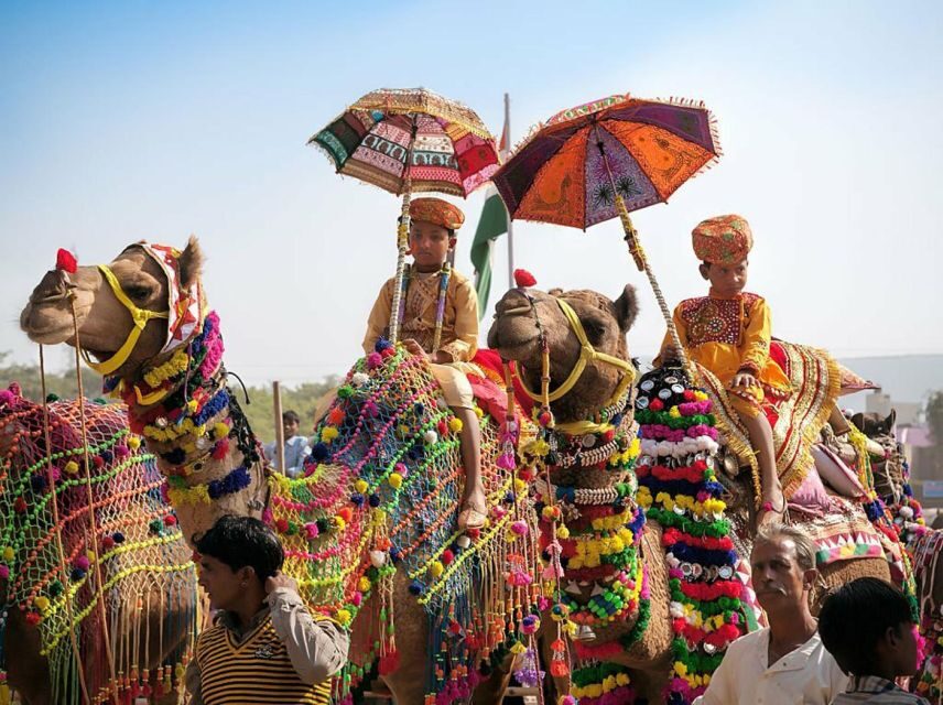 From Jaipur: One-Day Trip From Jaipur to Pushkar - Why Pushkar fits a one-day escape from Jaipur