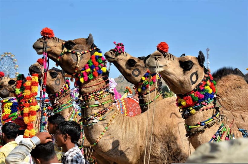From Jaipur: One-Day Trip From Jaipur to Pushkar - Entering Brahma Temple: the morning focus you’ll be glad you chose
