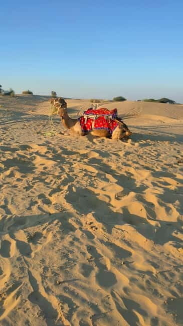 From Jaipur : Private Ajmer Pushkar Tour by Cab - Price and value: why $12 can be great, then reality hits