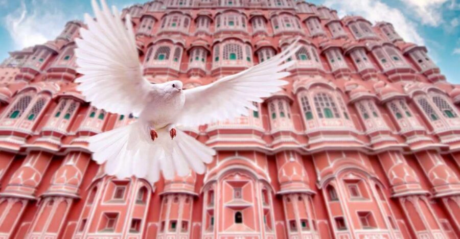 From Jaipur: Private Amber Fort, Jal Mahal and More Car Tour - City Palace + Chandra Mahal: Royal Space That Also Works as a Museum