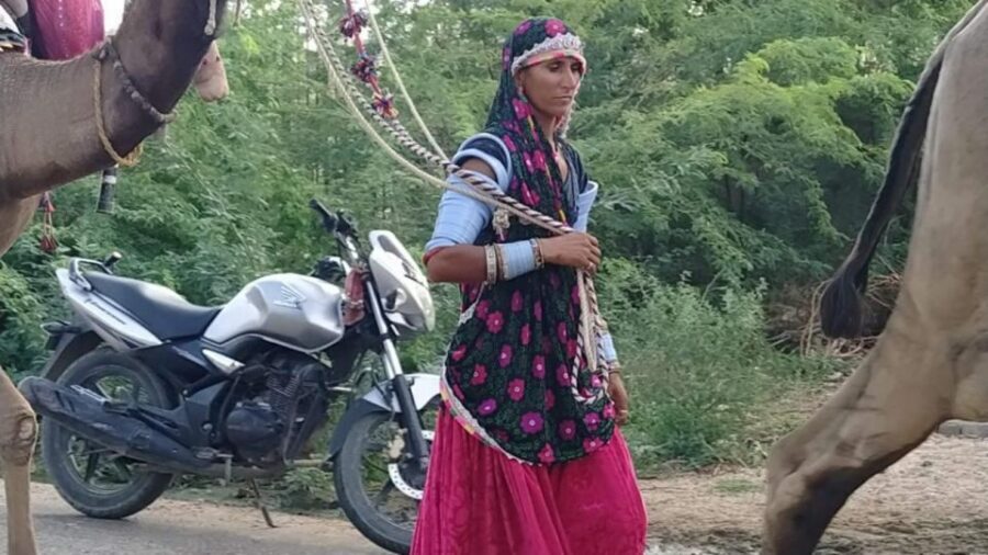 From Jodhpur: Half-Day Tour, Camel Ride, & Dinner in Osian - Should You Book This Jodhpur to Osian Camel Ride + Dinner Tour?