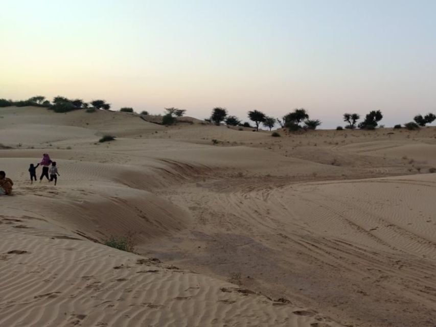 From Jodhpur: Half-Day Tour, Camel Ride, & Dinner in Osian - Safety and Driver Skills: What Makes This Day Feel Easy