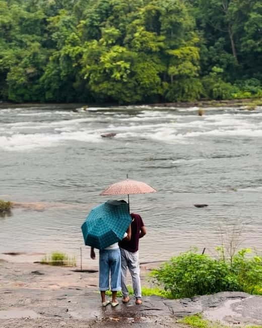 From Kochi: Athirappilly Waterfalls Day Trip with Transfers - Arriving at Athirappilly: Your 3-Hour Window at the Falls