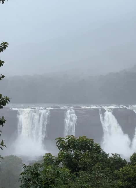 From Kochi: Athirappilly Waterfalls Day Trip with Transfers - Trails, Trekking, and Panoramic Views Without Overdoing It