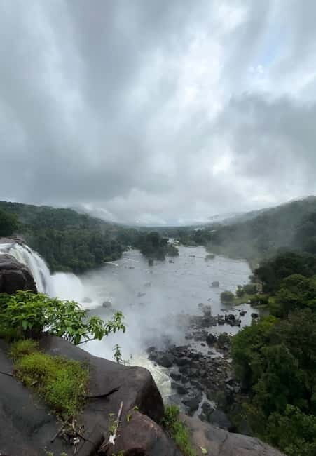 From Kochi: Athirappilly Waterfalls Day Trip with Transfers - Wildlife in the Western Ghats: Birds, Animals, and Why You Should Look Up