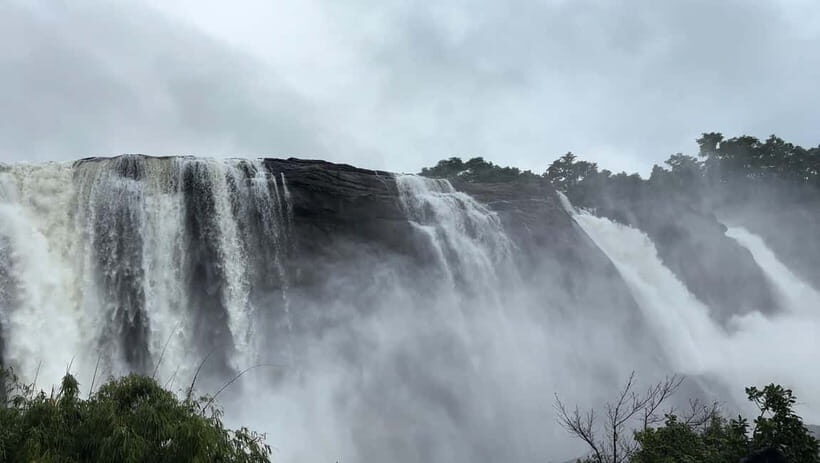From Kochi: Athirappilly Waterfalls Day Trip with Transfers - Timing and Group Comfort: The 4-Hour Reality Check