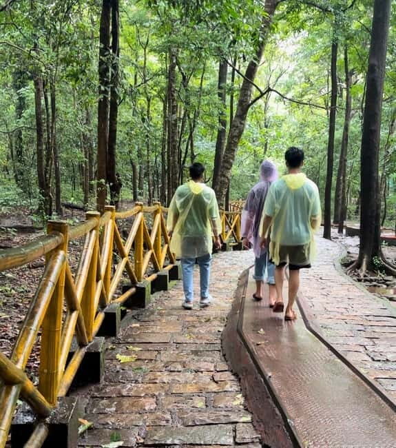 From Kochi: Athirappilly Waterfalls Day Trip with Transfers - Price and Value: Is $99 a Good Deal?