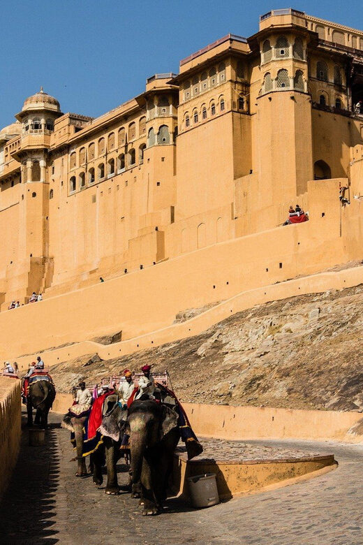 From New Delhi: Jaipur Guided City Tour with Hotel Pickup - Lunch in Jaipur: Where Food Stops Add Real Value