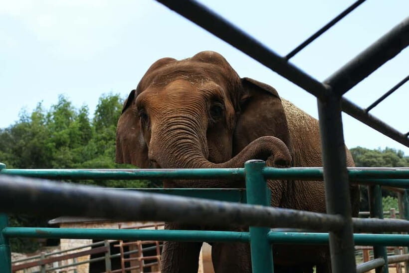 From New Delhi: Taj Mahal and Elephant Conservation Centre - The lunch break in Agra: simple, planned, and optional in value