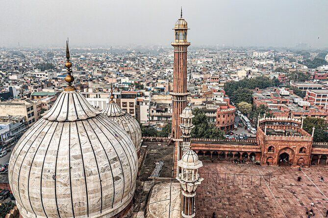 Full day Delhi tour with a Local - Private Delhi Day Tour - Price and value: how $11 can work (and where it won’t)