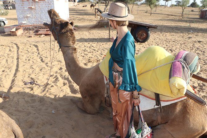 Full-Day Desert Safari with Jodhpur Heritage - Mehrangarh Fort first: the royal view you get before the dunes