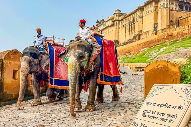 Full-Day Jaipur Highlights with Local Guide & Private Vehicle - Panna Meena ka Kund: the free stepwell stop that photographs like a dream