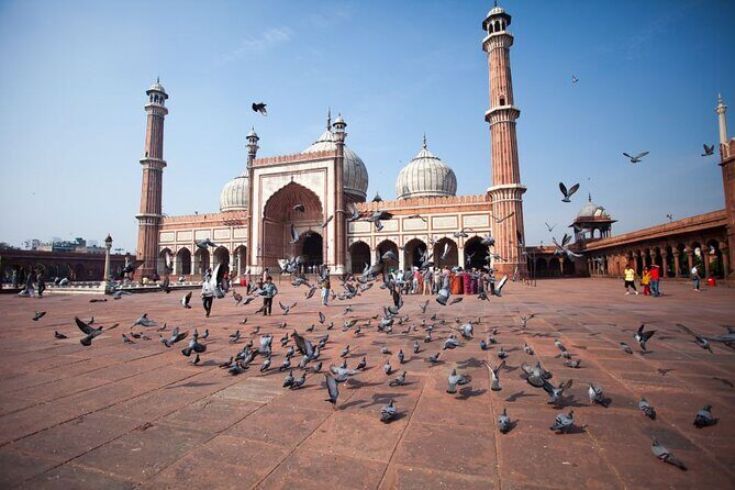Full Day Old and New Delhi Private Tour with Guide - Old Delhi Starts at Jama Masjid: A Powerful First Stop