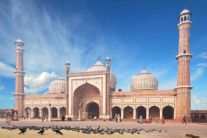 Full Day Private Custom Tour of New Delhi - Price and what you really pay for at $89 per person