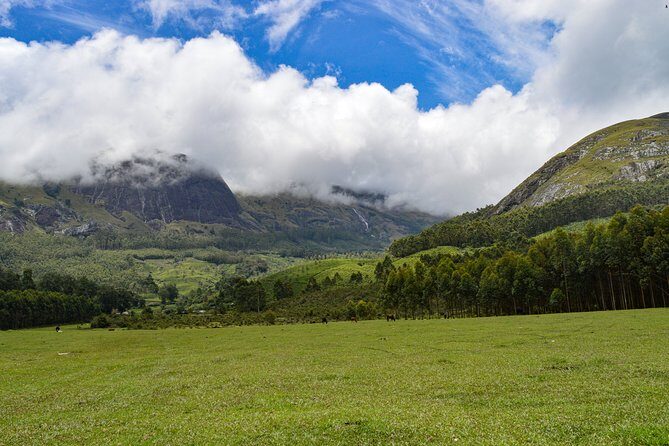 Full-Day Private Tour to Munnar from Kochi with Lunch - Key things that make this Munnar day trip work