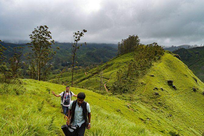 Full-Day Private Tour to Munnar from Kochi with Lunch - Echo Point: small, quick, and surprisingly fun