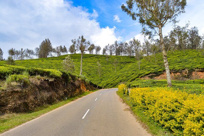 Full-Day Private Tour to Munnar from Kochi with Lunch - Oonnukal-Thodupuzha Road breakfast: fueling the road