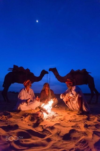 Fullday pushkar tour from jaipur with guid+camel/jeep safari - The quality factor: drivers and guides make the difference