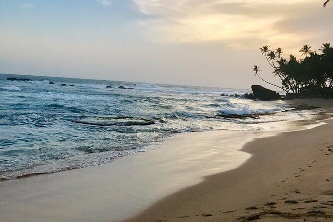 Galle Day Tour via Hikkaduwa Beach - Tsunami Photo Museum: respectful learning between sites