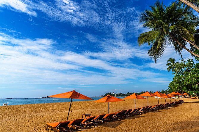 Galle One Day Tour - Key Points You’ll Care About