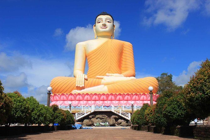 Galle One Day Tour - Beruwela Fish Market and Kande Viharaya Aluthgama: Local Life First