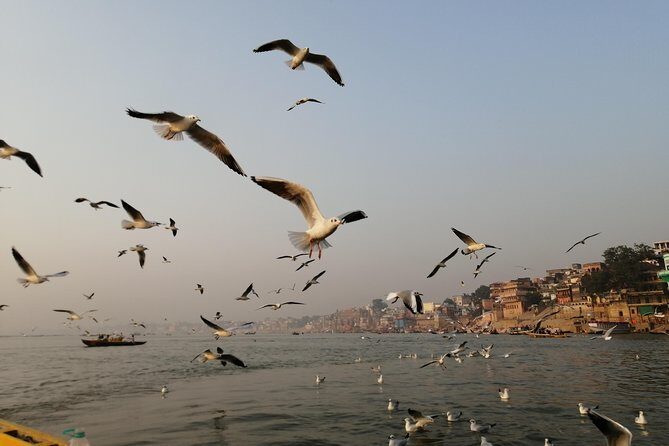 Ganga Sunrise Boat Tour - Who this tour fits best (and who should skip it)