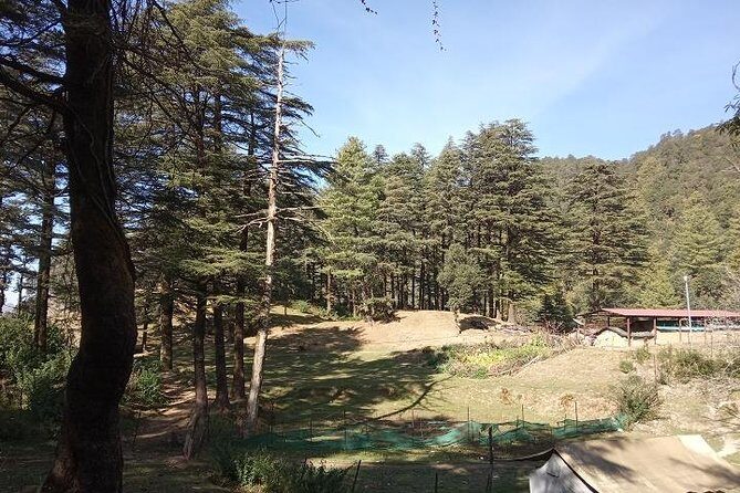 George Everest Nature Walk | Mussoorie - Key Highlights You’ll Actually Care About