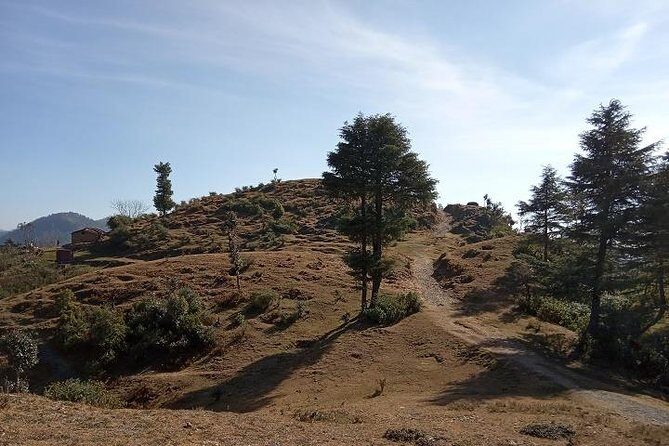 George Everest Nature Walk | Mussoorie - Where You’ll Go Back to: Ending at Sea Green Lodge