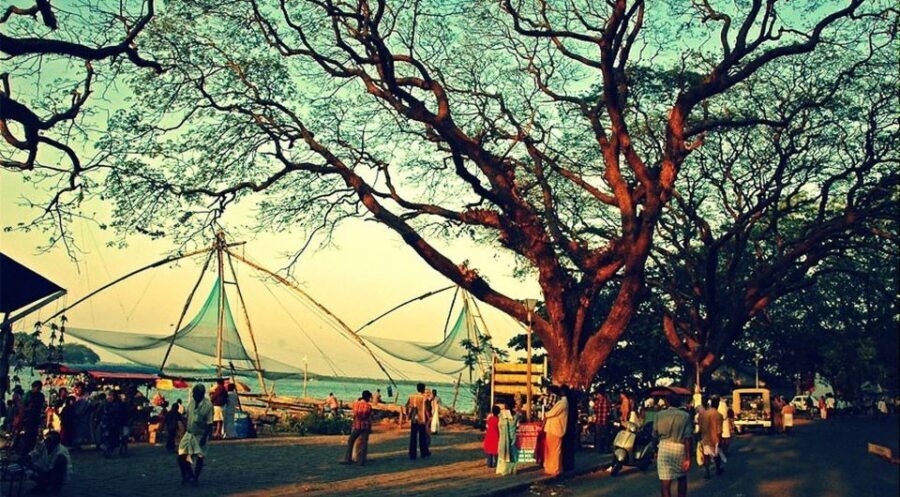 Glimpse of Cochin: Guided Tour - Fort Kochi Chinese Fishing Nets: the famous photo stop, done right