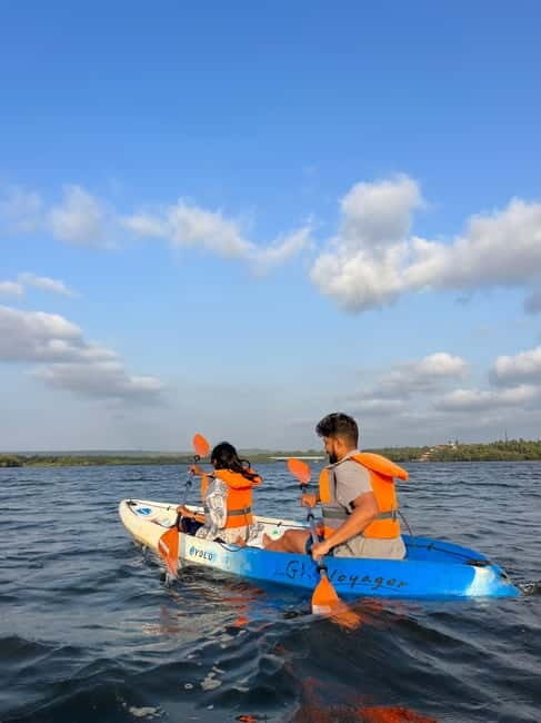 Goa: Backwater Kayaking Tour - From Arabo jetty to mangrove shade: how this tour flows