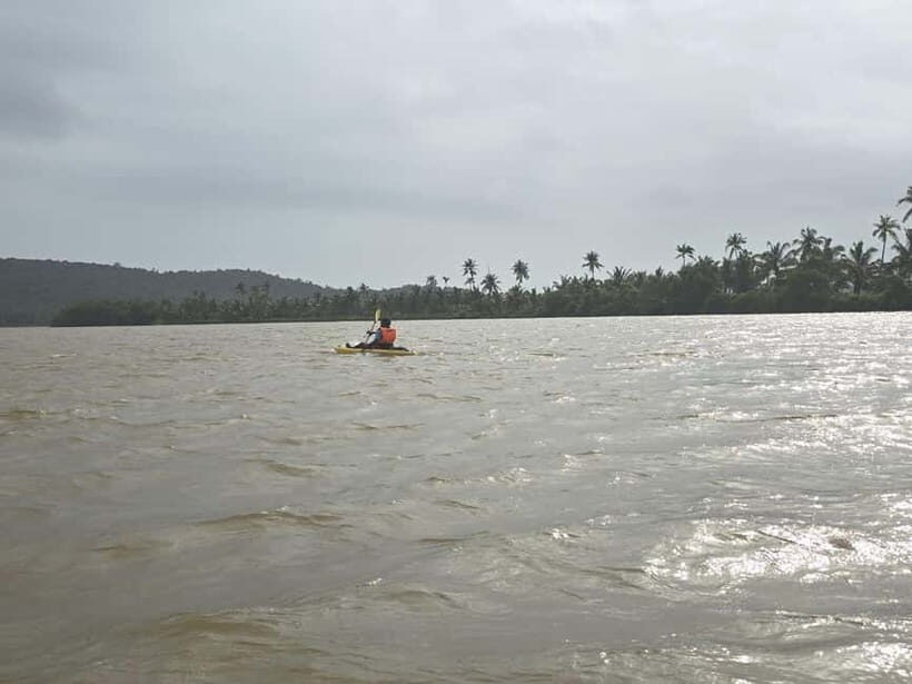 Goa: Backwater Kayaking Tour - Price and value: what $21 covers (and what it doesn’t)