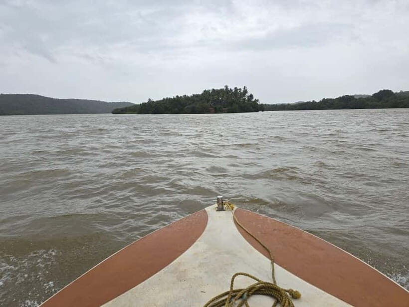 Goa: Backwater Kayaking Tour - Who this tour suits best (and who should skip it)