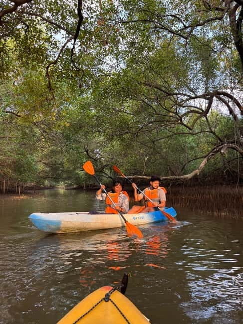 Goa: Backwater Kayaking Tour - Kayaking the River Chapora: the part you’ll actually remember