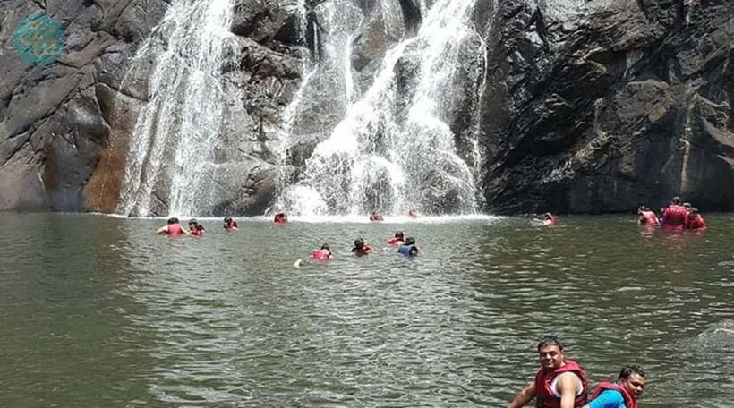Goa: Dudhsagar Waterfall, Jeep Safari and Spice Plantation - Key things I’d plan for before you go