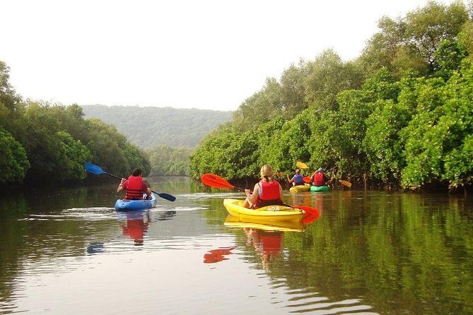 Goa Kayaking in Spike's River - Key Points at a Glance